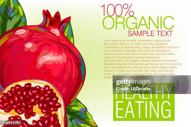 fresh pomegranate - pomegranate stock illustrations