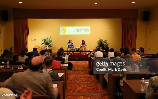 Director Allison Anders, singer Tiffany Anders and moderator John Anderson attend the 'Master Class - Music in Film with Allison and Tiffany Anders'...