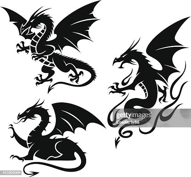 illustrazioni stock, clip art, cartoni animati e icone di tendenza di draghi - dragon