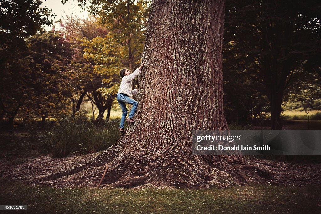 Girl climbing tree