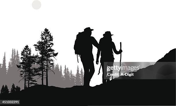 hiking adventure - hiking pole stock illustrations
