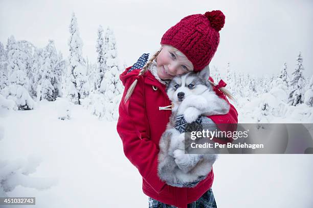 a girl dressed in red with a husky puppy - one per stock pictures, royalty-free photos & images