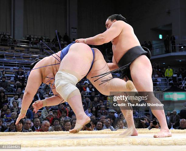 Mongolian yokozuna Harumafuji , whose real name is Altangadasyn Khuchitbaatar throws Brazilian wrestler Aoiyama , whose real name is Ricardo Sugano...