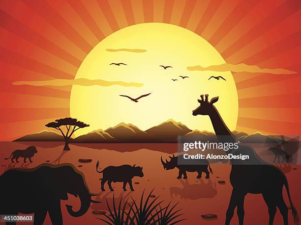 ilustraciones, imágenes clip art, dibujos animados e iconos de stock de african safari - búfalo africano