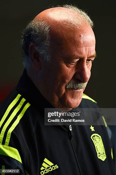 Head coach Vicente Del Bosque of Spain faces the media during a Spain press conference ahead of the 2014 FIFA World Cup Group B match between...