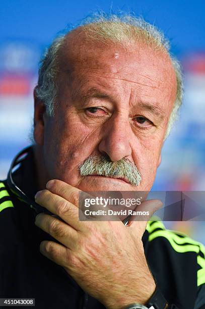 Head coach Vicente Del Bosque of Spain faces the media during a Spain press conference ahead of the 2014 FIFA World Cup Group B match between...