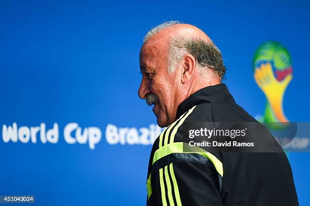 Head coach Vicente Del Bosque of Spain faces the media during a Spain press conference ahead of the 2014 FIFA World Cup Group B match between...