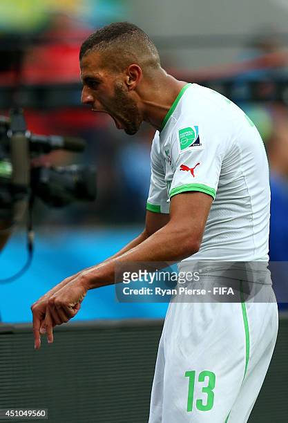 Islam Slimani of Algeria celebrates scoring his team's first goal during the 2014 FIFA World Cup Brazil Group H match between Korea Republic and...
