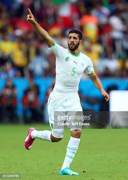 Rafik Halliche of Algeria celebrates scoring his team's second goal during the 2014 FIFA World Cup Brazil Group H match between South Korea and...