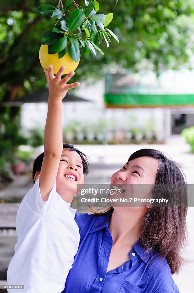 Mother holding son picking fruit