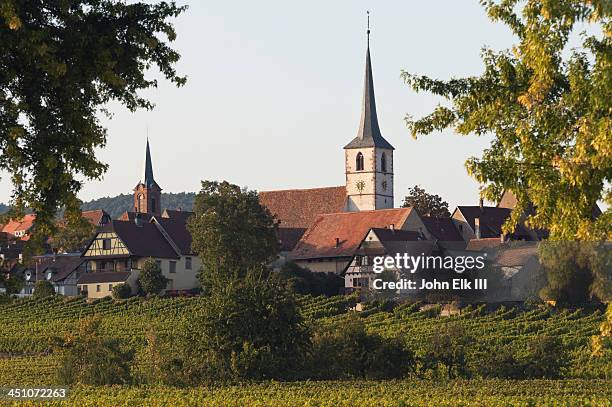 mittelbergheim view across vineyards - bas rhin stock-fotos und bilder