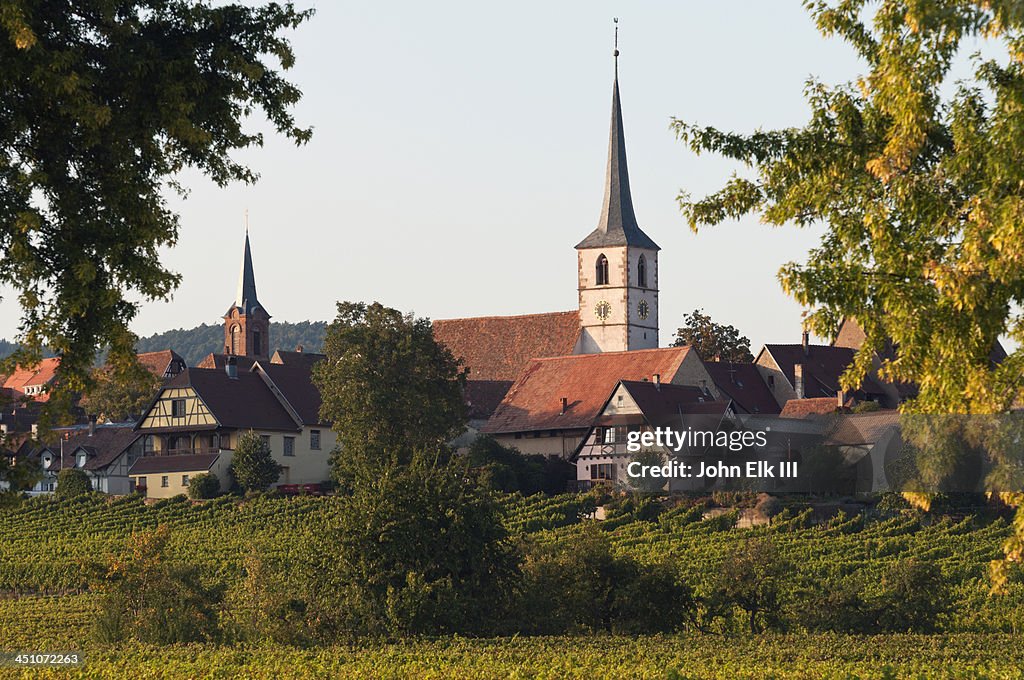 Mittelbergheim view across vineyards
