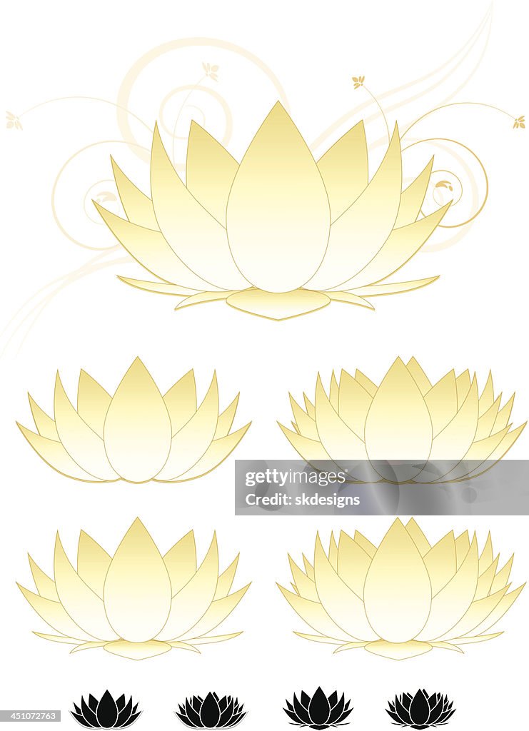 Lotus Flowers, Water Lilies Set (Gold, White), and Icons