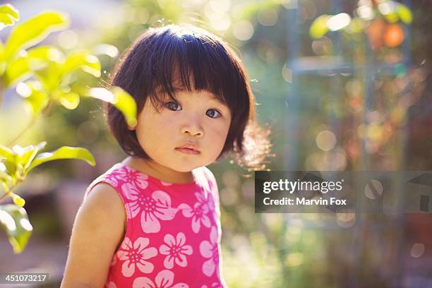 girl in the garden - eenjarig plantenkenmerk stockfoto's en -beelden