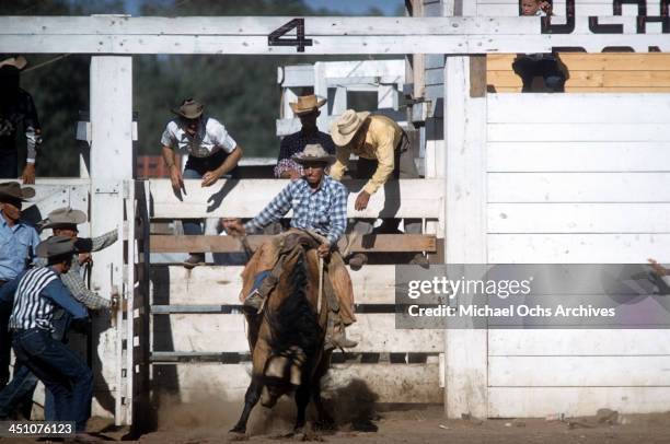 93 Range Days Rodeo Stock Photos, High-Res Pictures, and Images - Getty ...
