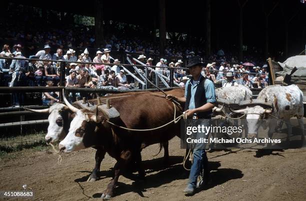 Range Days Rodeo Photos and Premium High Res Pictures - Getty Images