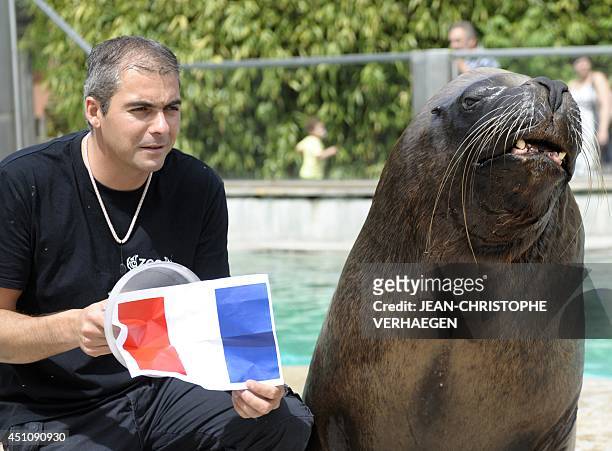 Sea lion trainer, Pablo Joury, poses with the French flag that sea... News  Photo - Getty Images