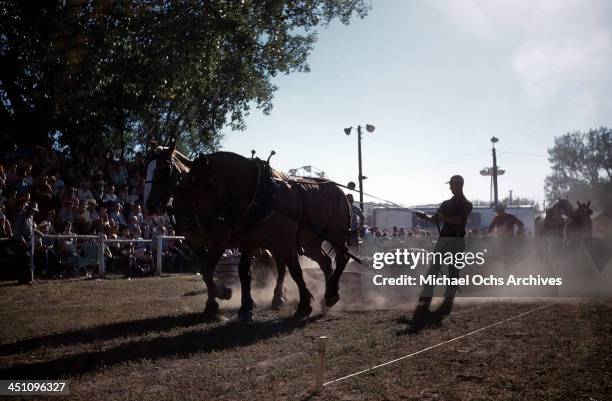 93 Range Days Rodeo Stock Photos, High-Res Pictures, and Images - Getty ...