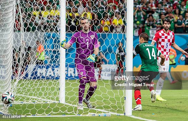 Javier Hernandez of Mexico scores his team's third goal past goalkeeper Stipe Pletikosa of Croatia during the 2014 FIFA World Cup Brazil Group A...
