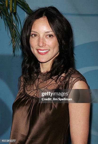 Lola Glaudini during CBS 2005/2006 UpFront - Arrivals at Tavern on the Green in New York City, New York, United States.