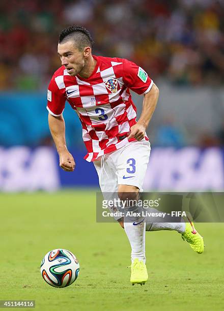 Danijel Pranjic of Croatia in action during the 2014 FIFA World Cup Brazil Group A match between Croatia and Mexico at Arena Pernambuco on June 23,...