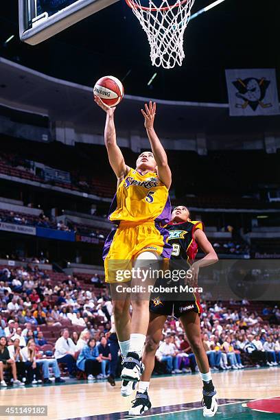 Allison Feaster of the Los Angeles Sparks shoots against the Detroit Shock at Staples Center on May 29, 1999 in Los Angeles, CA. NOTE TO USER: User...