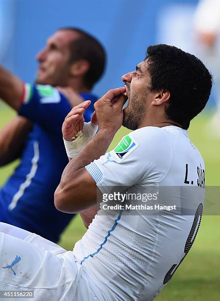 Luis Suarez of Uruguay and Giorgio Chiellini of Italy react after a clash during the 2014 FIFA World Cup Brazil Group D match between Italy and...
