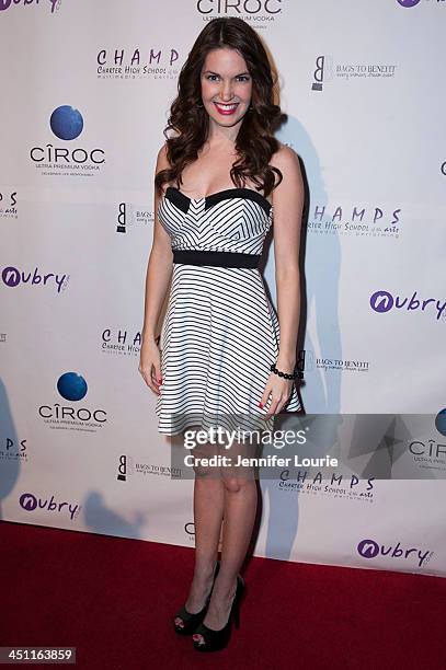 Breann Johnson arrives to the 'Bags To Benefit' Charity Evening For CHAMPS High School Of The Arts at Tru Hollywood on November 19, 2013 in...