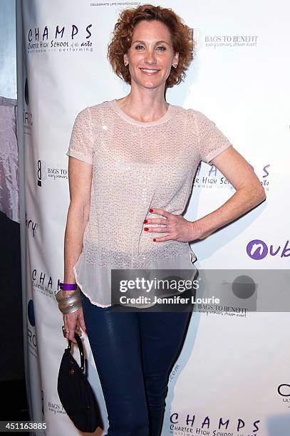 Judith Hoag arrives to the 'Bags To Benefit' Charity Evening For CHAMPS High School Of The Arts at Tru Hollywood on November 19, 2013 in Hollywood,...