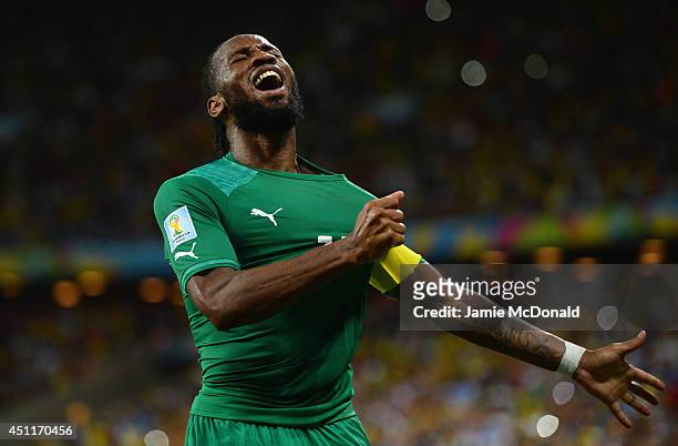 Didier Drogba of the Ivory Coast celebrates his team's first goal during the 2014 FIFA World Cup Brazil Group C match between Greece and the Ivory...