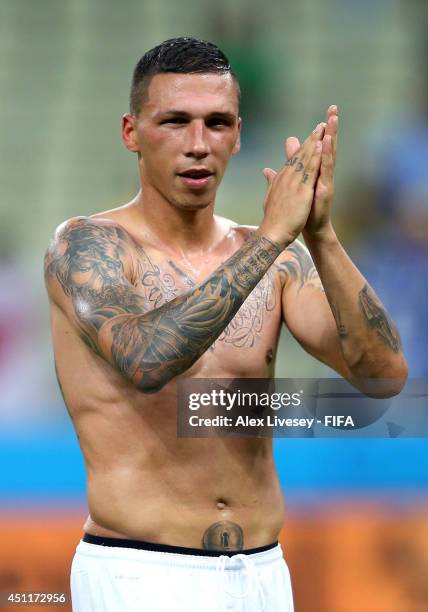 Jose Cholevas of Greece celebrates the 2-1 win after the 2014 FIFA World Cup Brazil Group C match between Greece and Cote D'Ivoire at Estadio...