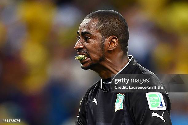 Boubacar Barry of the Ivory Coast celebrates with grass in his mouth after his team's first goal during the 2014 FIFA World Cup Brazil Group C match...