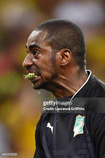 644 Boubacar Barry Photos & High Res Pictures Getty Images