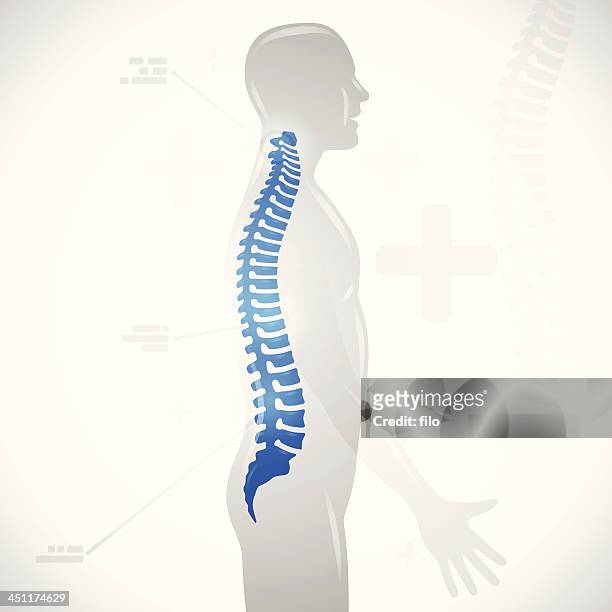 spine health - human limb stock illustrations