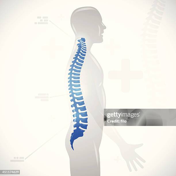 spine health - human vertebra 幅插畫檔、�美工圖案、卡通及圖標