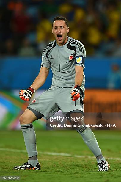 David Ospina of Colombia celebrates during the 2014 FIFA World Cup Brazil Group C match between Japan and Colombia at Arena Pantanal on June 24, 2014...