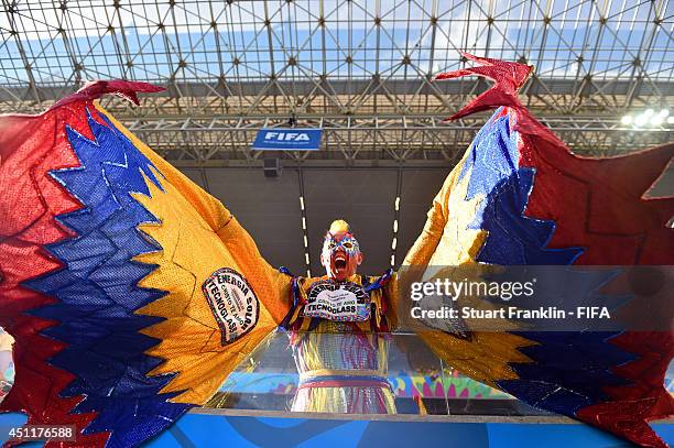 Colombia fan enjoys the atmosphere prior to the 2014 FIFA World Cup Brazil Group C match between Japan and Colombia at Arena Pantanal on June 24,...