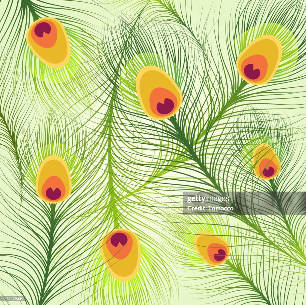 Feather Patterns High-Res Vector Graphic - Getty Images