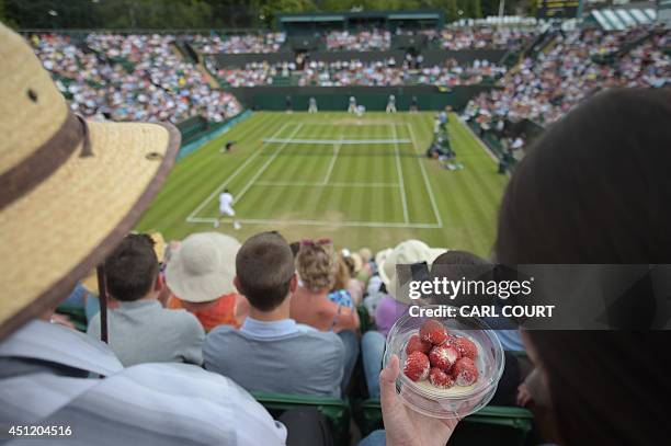 Spectator eats strawberries and cream as she watches Spain's David Ferrer play against Russia's Andrey Kuznetsov during their men's singles second...