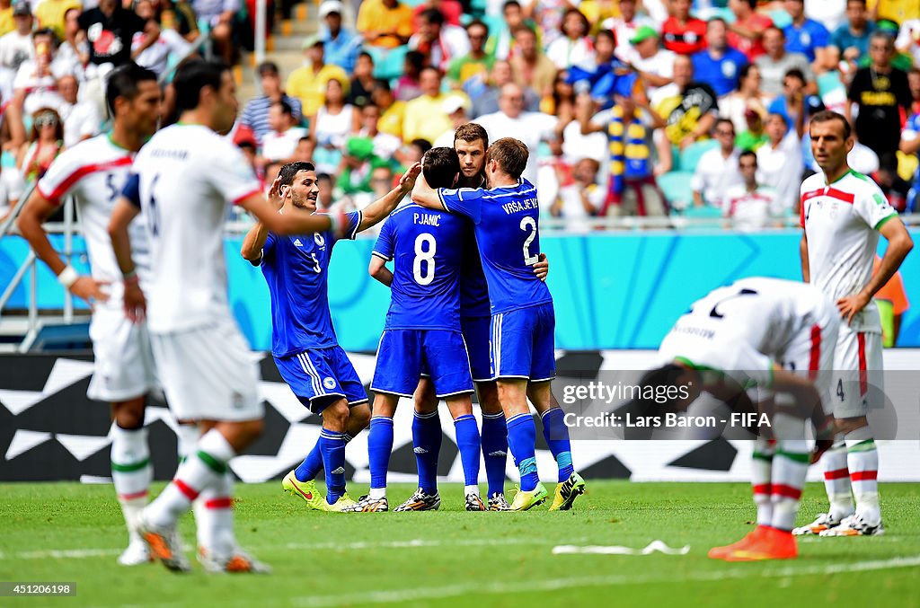 Bosnia-Herzegovina v Iran: Group F - 2014 FIFA World Cup Brazil