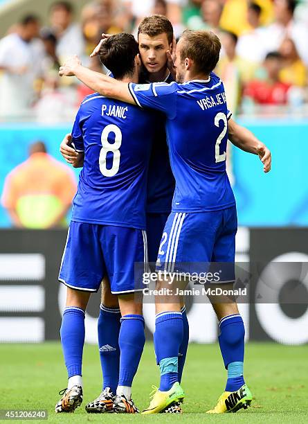 Edin Dzeko of Bosnia and Herzegovina celebrates scoring his team's first goal during the 2014 FIFA World Cup Brazil Group F match between Bosnia and...