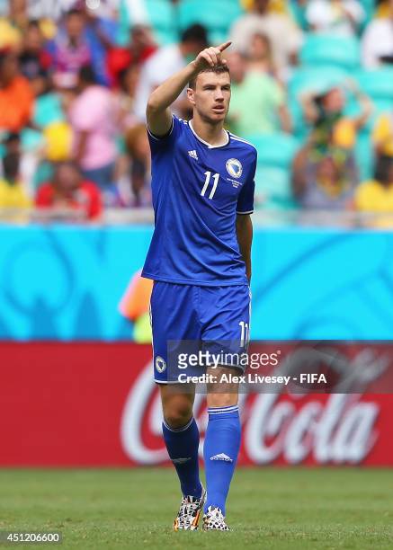 Edin Dzeko of Bosnia and Herzegovina celebrates scoring his team's first goal during the 2014 FIFA World Cup Brazil Group F match between...