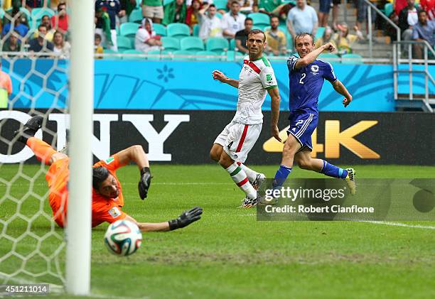 Avdija Vrsajevic of Bosnia and Herzegovina shoots and scores his team's third goal past goalkeeper Alireza Haghighi of Iran during the 2014 FIFA...