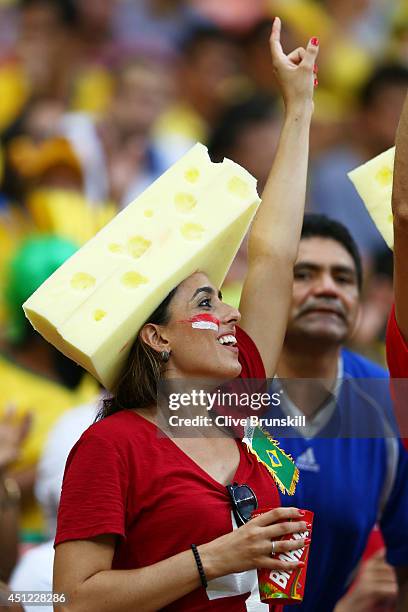 Switzerland fan cheers during the 2014 FIFA World Cup Brazil Group E match between Honduras and Switzerland at Arena Amazonia on June 25, 2014 in...