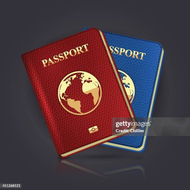 passport - leather texture stock illustrations