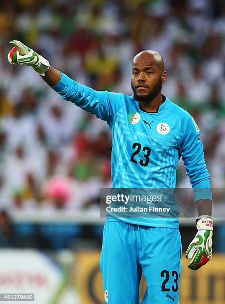 Rais M'Bolhi of Algeria looks on during the 2014 FIFA World Cup Brazil Group H match between Algeria and Russia at Arena da Baixada on June 26, 2014...