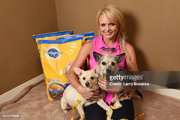 Miranda Lambert unveils her new documentary film which showcases her passion for dog adoption and highlights the renovation of her hometown animal...