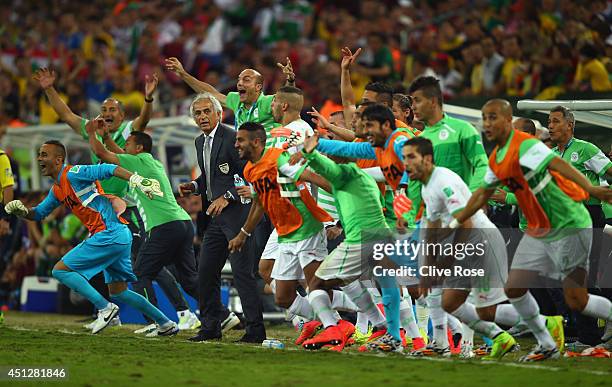 The Algeria bench celebrates after a 1-1 draw during the 2014 FIFA World Cup Brazil Group H match between Algeria and Russia at Arena da Baixada on...