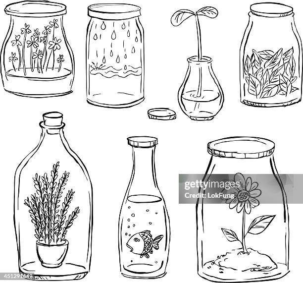 plant in flasche - goldfisch stock-grafiken, -clipart, -cartoons und -symbole