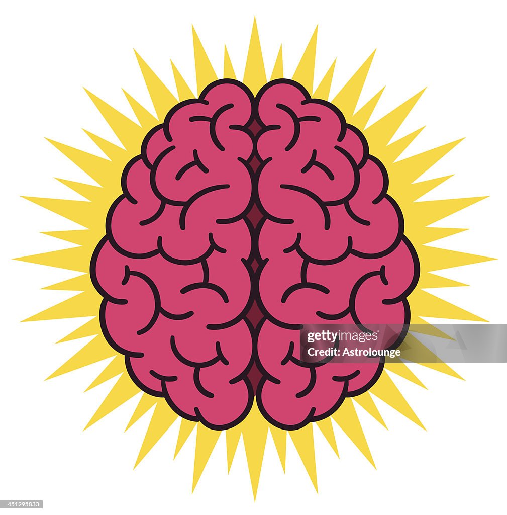 Brain